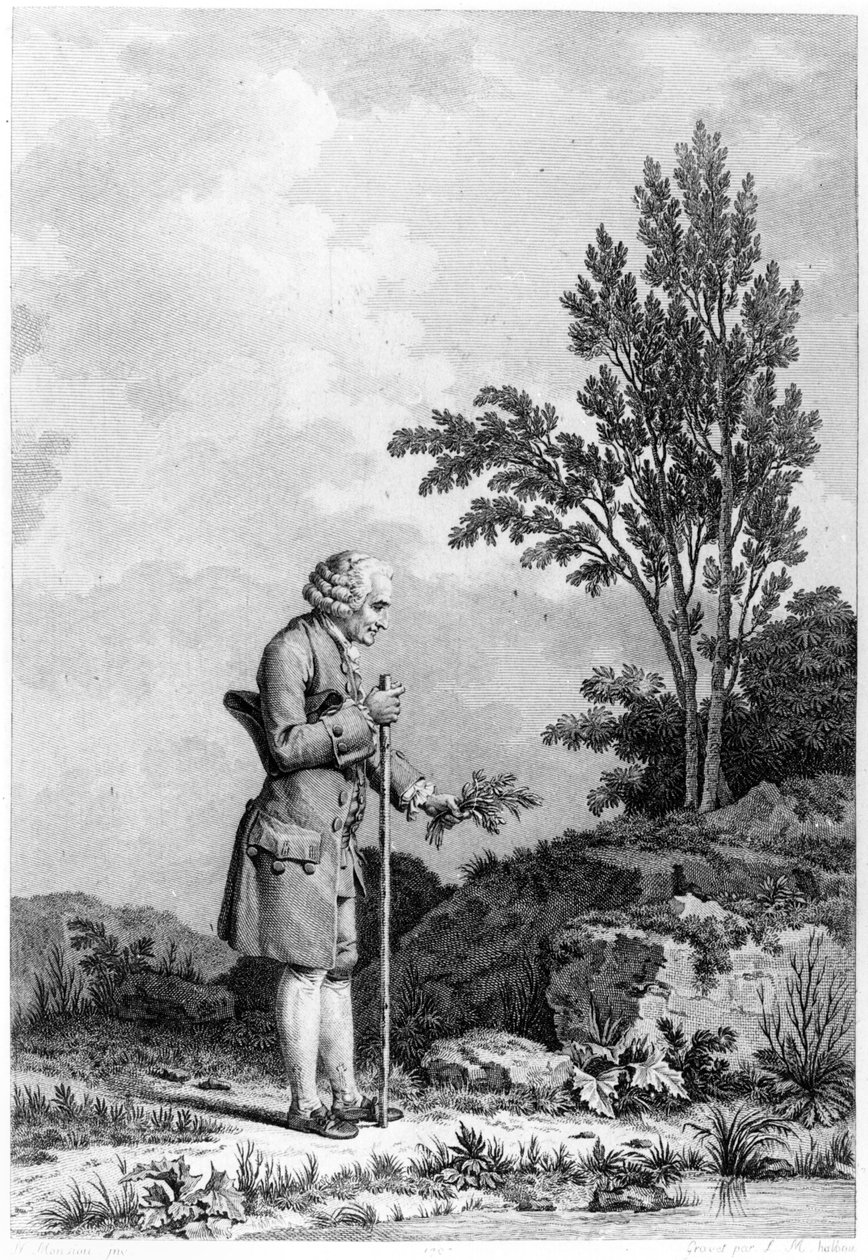 जीन-जैक्स रूसो (1712-78) जून 1778 में एर्मेनविले में जड़ी बूटी इकट्ठा करना, लुईस माइकल हेल्बो द्वारा उकेरा गया (b.1730) द्वारा निकोलस आंद्रे मोनसियाउ