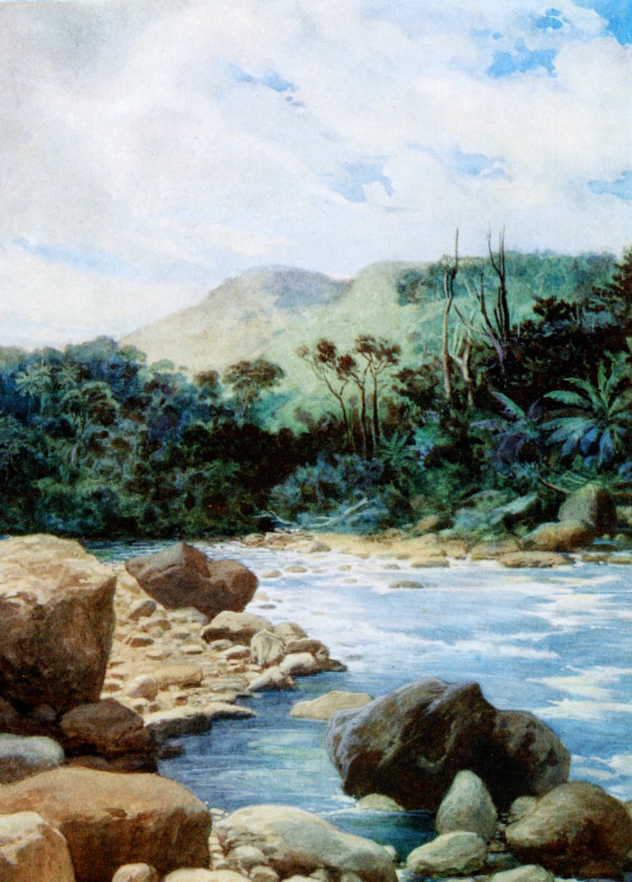 इरोमंगा, न्यू हेब्राइड्स, 1908 में दृश्य द्वारा नॉर्मन हार्डी