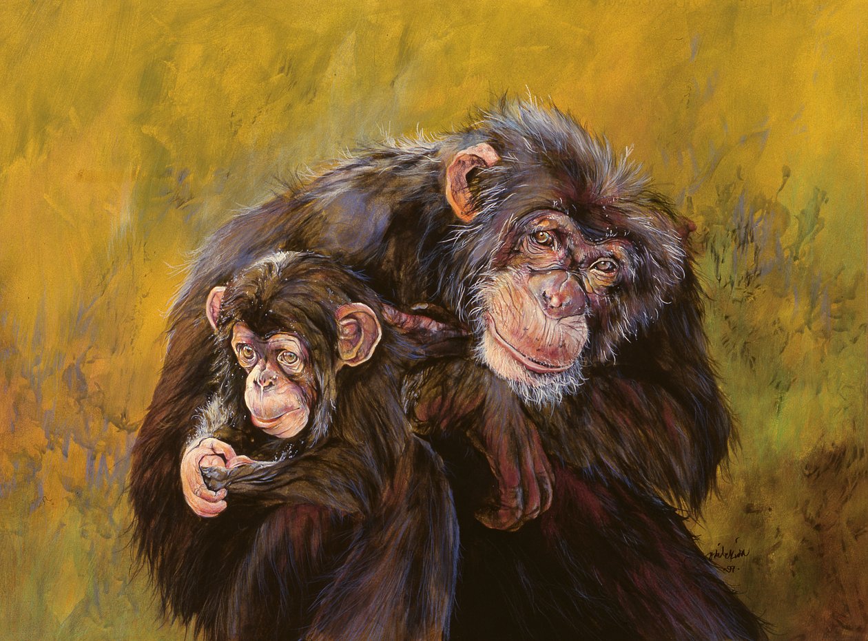  द्वारा ओडिले किड