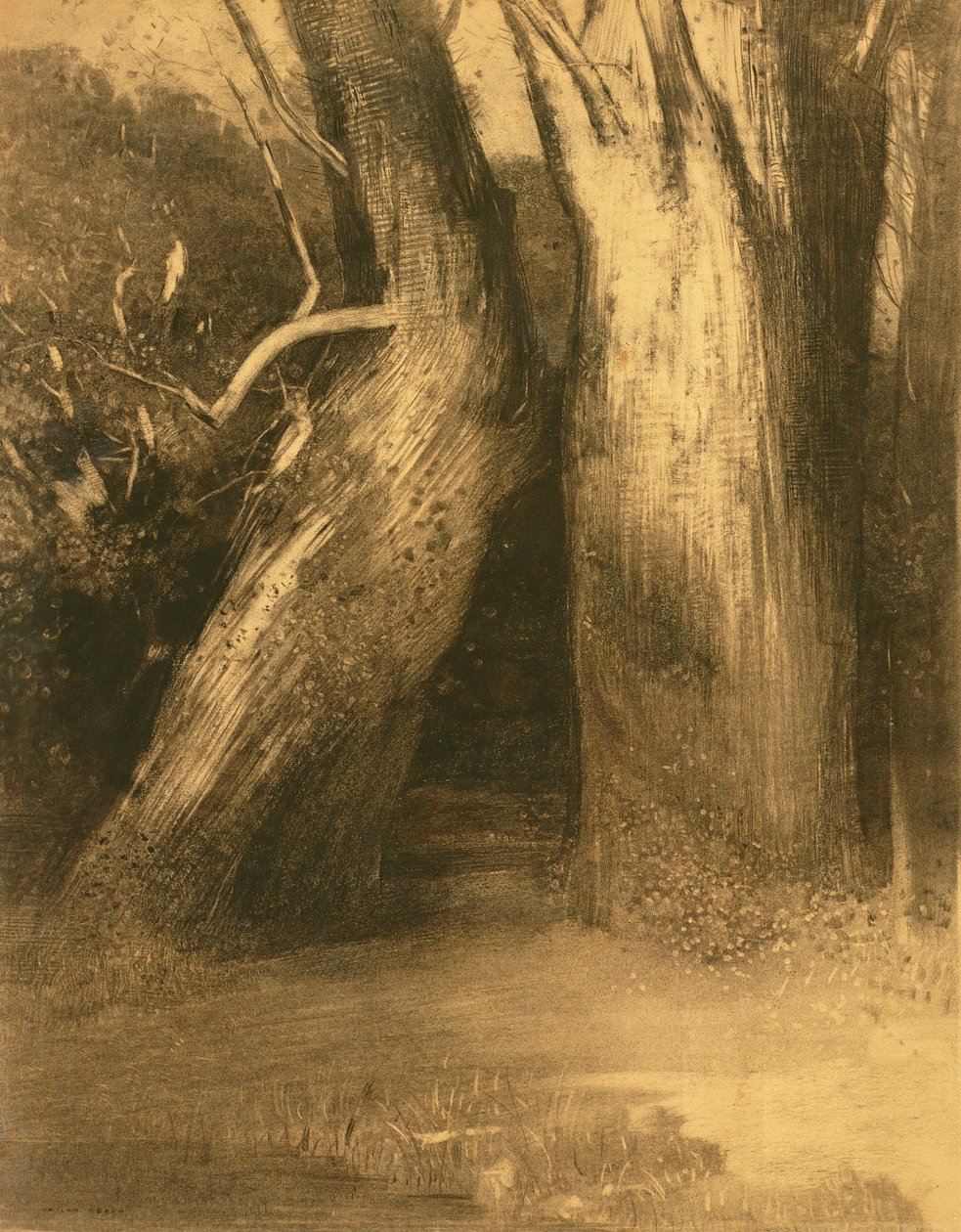 दो पेड़, c.1875 (कागज पर लकड़ी का कोयला) द्वारा ओडिलोन रेडन