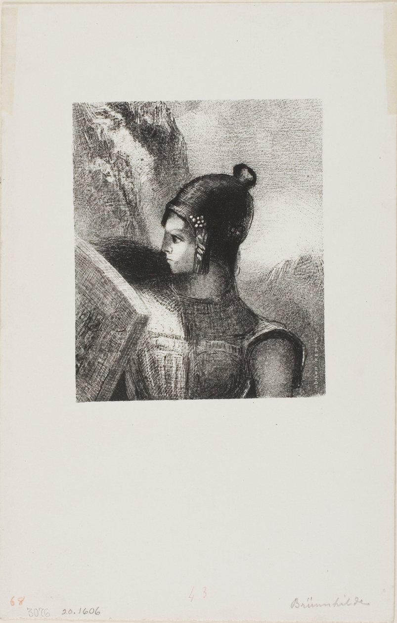  द्वारा ओडिलोन रेडन