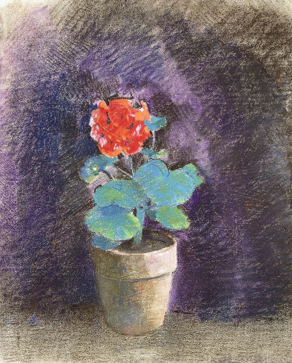 geranium, द्वारा ओडिलोन रेडन