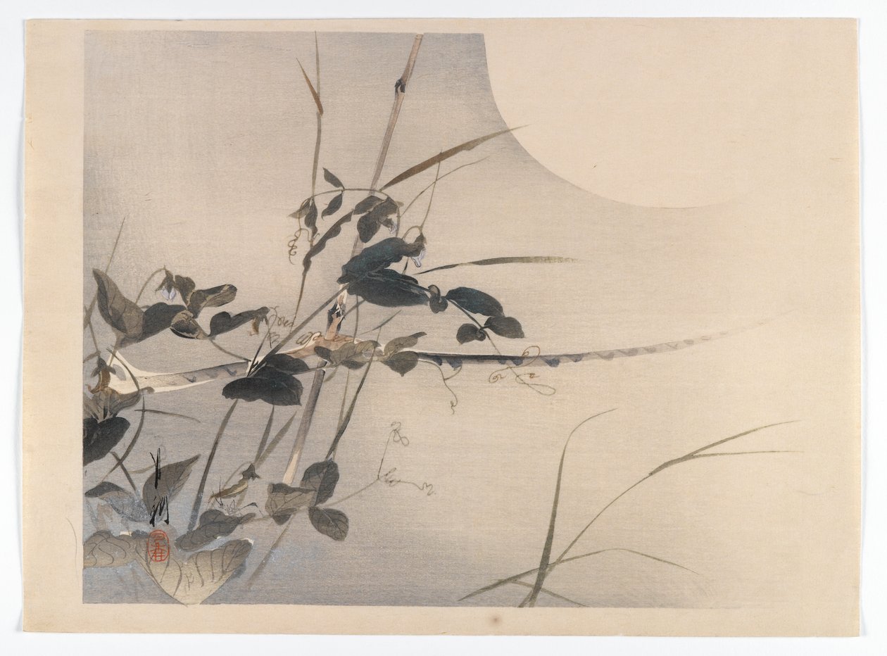 चंद्रमा और पत्ते, एक पक्षी और फूल (काचो) बुक से एल्बम पृष्ठ, c.1890-1900 (सिल्वर पिगमेंट के साथ वुडब्लॉक कलर प्रिंट) द्वारा ओगाटा गेक्को