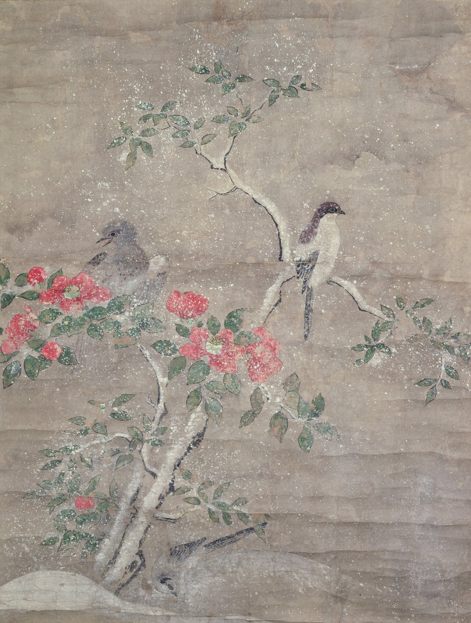 बर्फ में पक्षी और कैमेलिया, c.1700 (कागज पर स्याही और रंग) द्वारा ओगावा हरित्सु