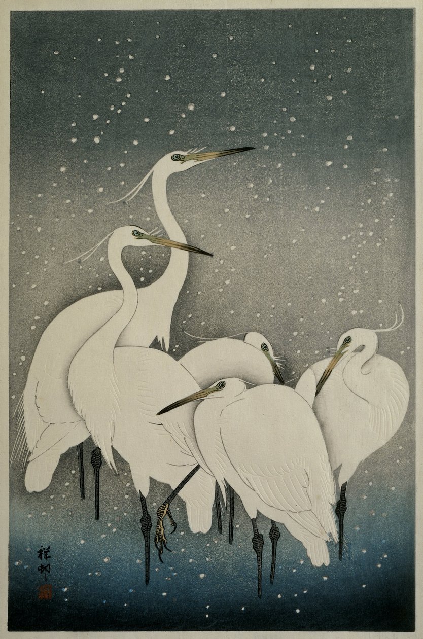 एग्रेस का समूह, 1925-36 द्वारा ओहरा कोसों