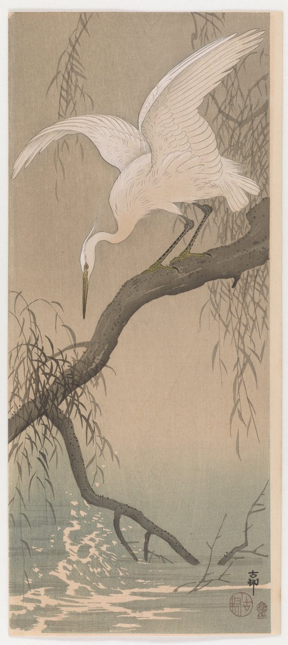 लिटिल एग्रेट, c.1910 (कलर वुडब्लॉक प्रिंट) द्वारा ओहरा कोसों
