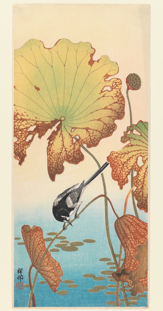 वागेट और लोटस, c.1915 (वुडब्लॉक प्रिंट) द्वारा ओहरा कोसों