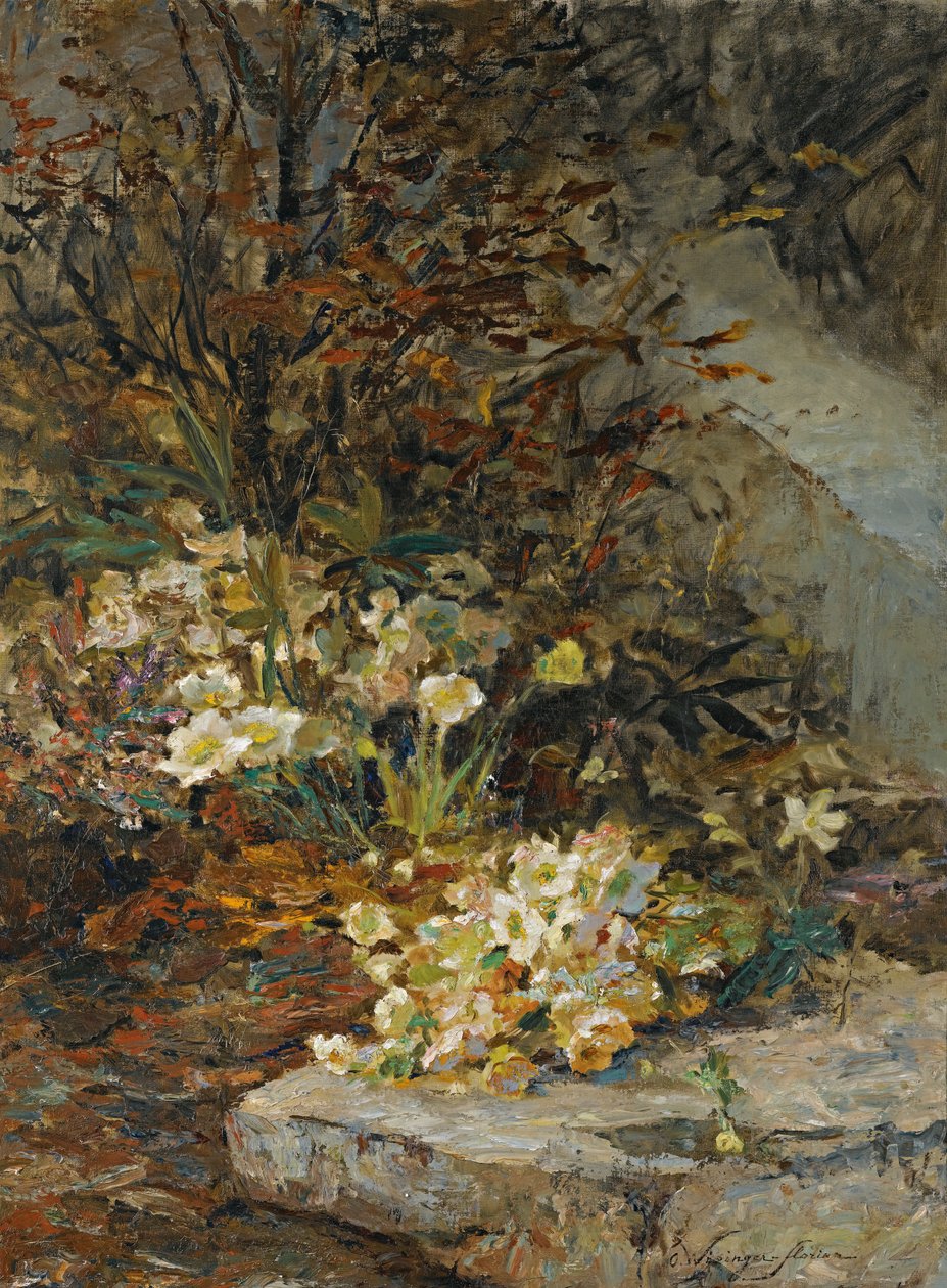 Hellebores द्वारा ओल्गा वाइन्सर फ्लोरियन