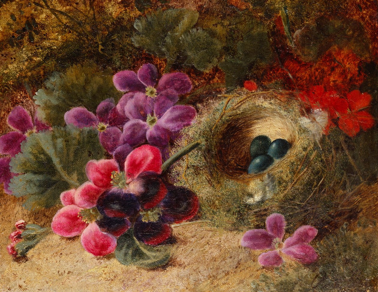 एक पक्षी घोंसला और Geraniums द्वारा ओलिवर क्लेयर