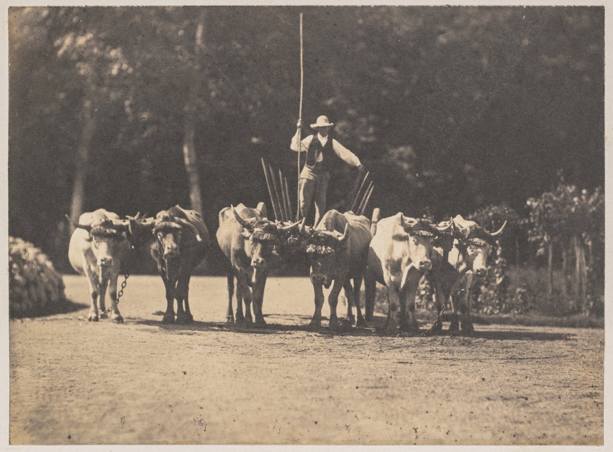  द्वारा ओलम्पे अगुआडो