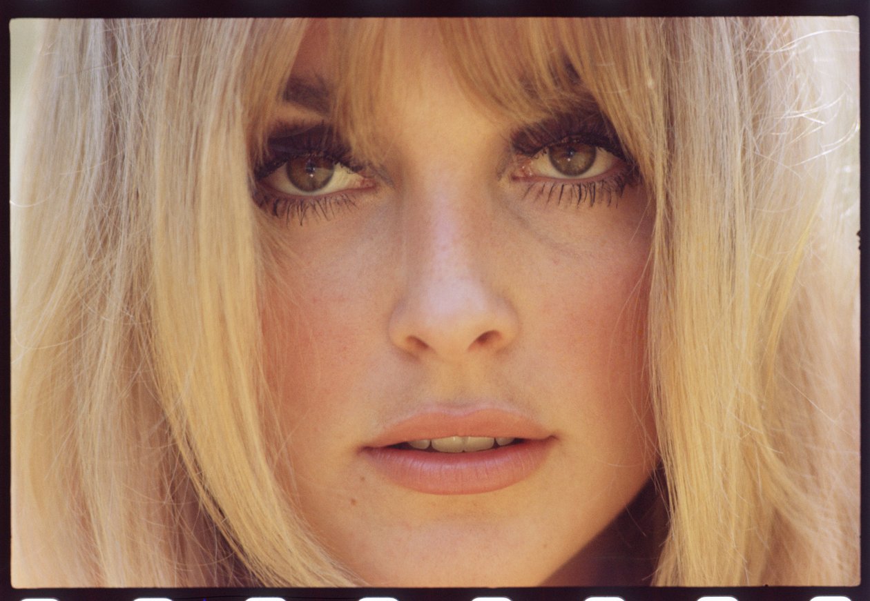 Sharon Tate द्वारा ऑरलैंडो सुएरो
