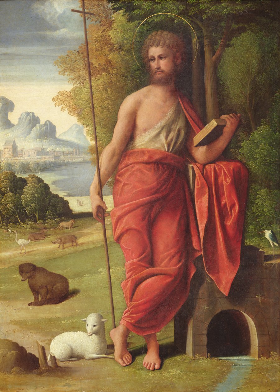 सेंट जॉन द बैपटिस्ट इन द वाइल्डरनेस, c.1525 द्वारा Ortolano