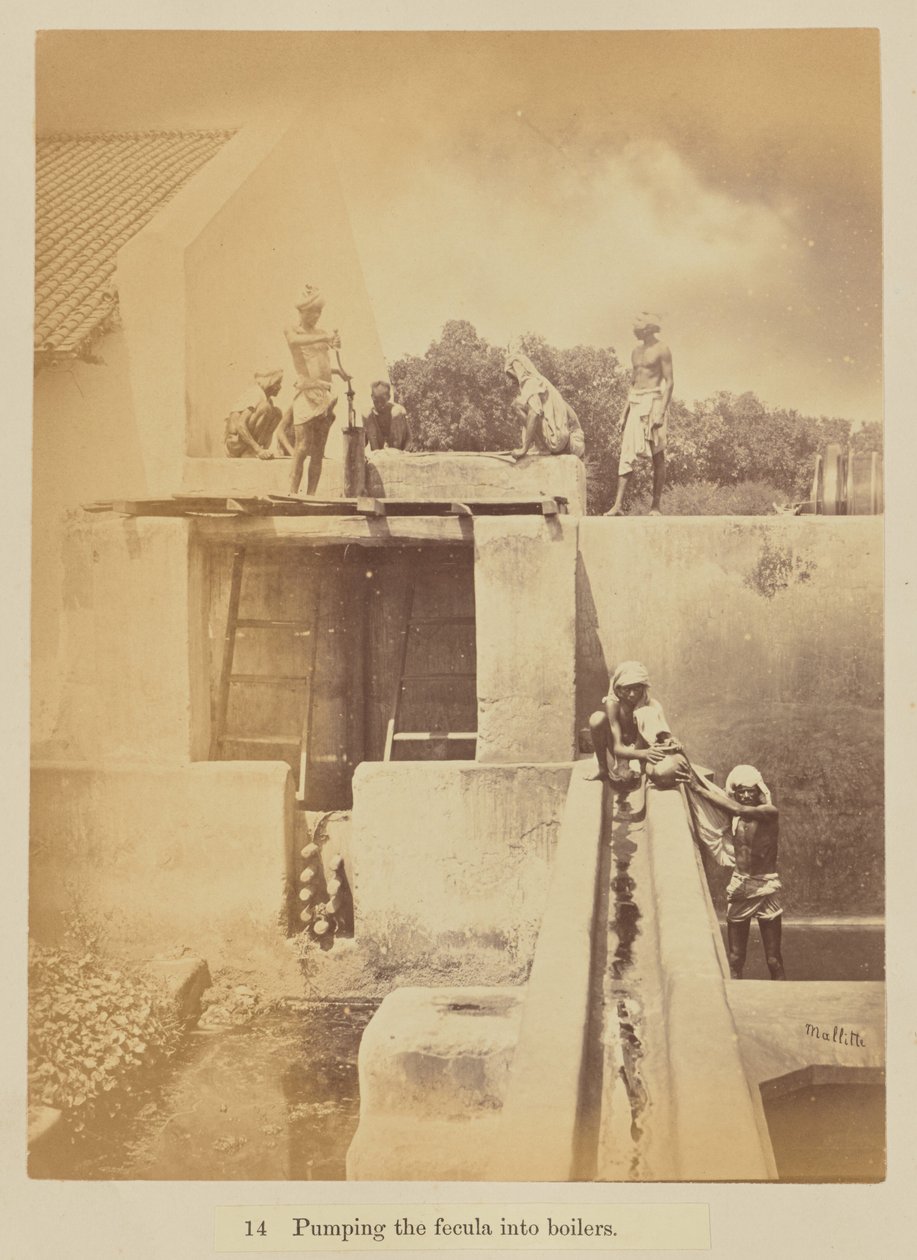  द्वारा ऑस्कर मालिटे