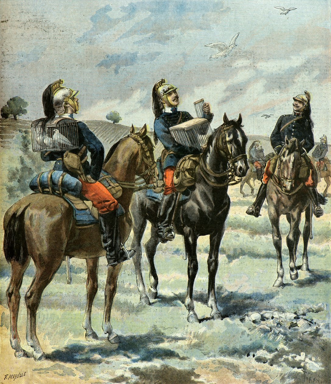  द्वारा ओसवाल्डो टोफानी