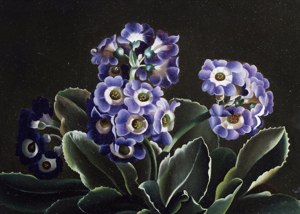  द्वारा ओटो डिड्रिक ओटेसन