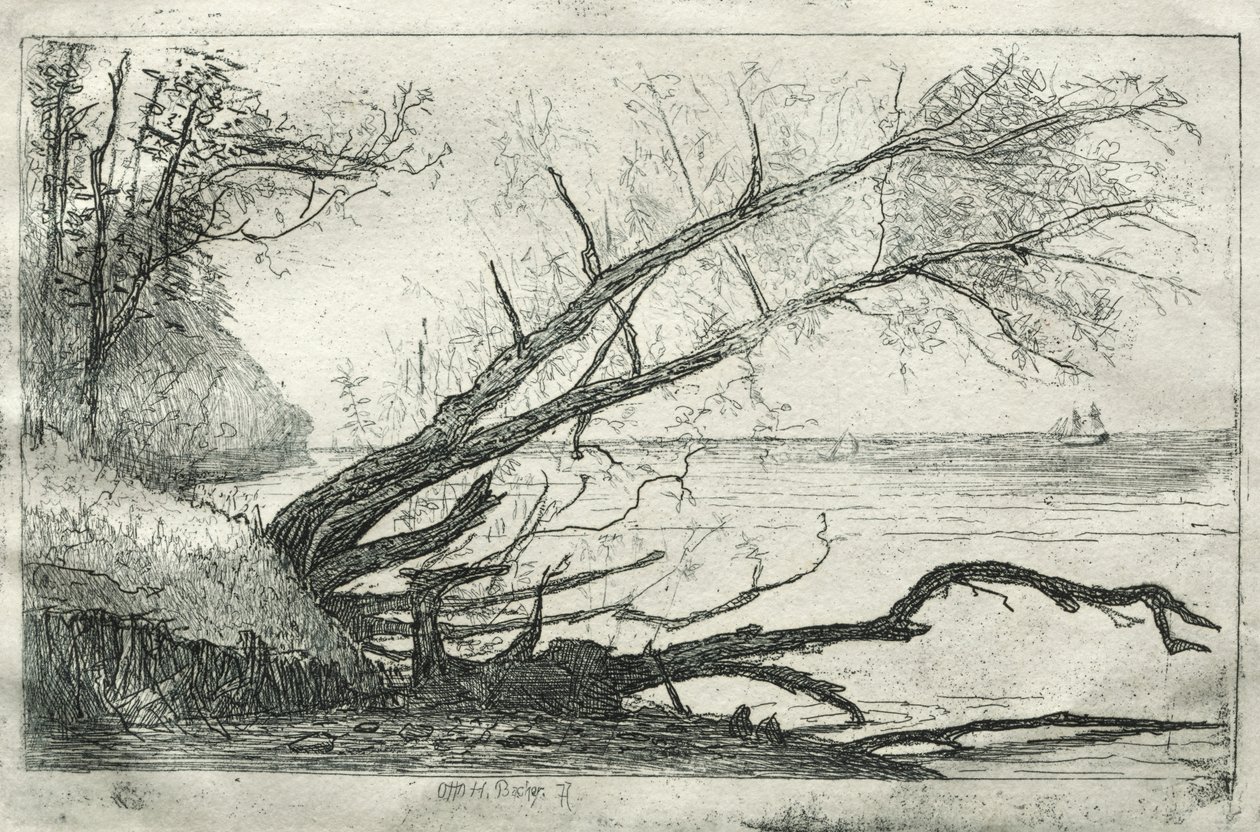 ओल्ड साइकमोर, 1877। द्वारा ओटो एच. बाचेर