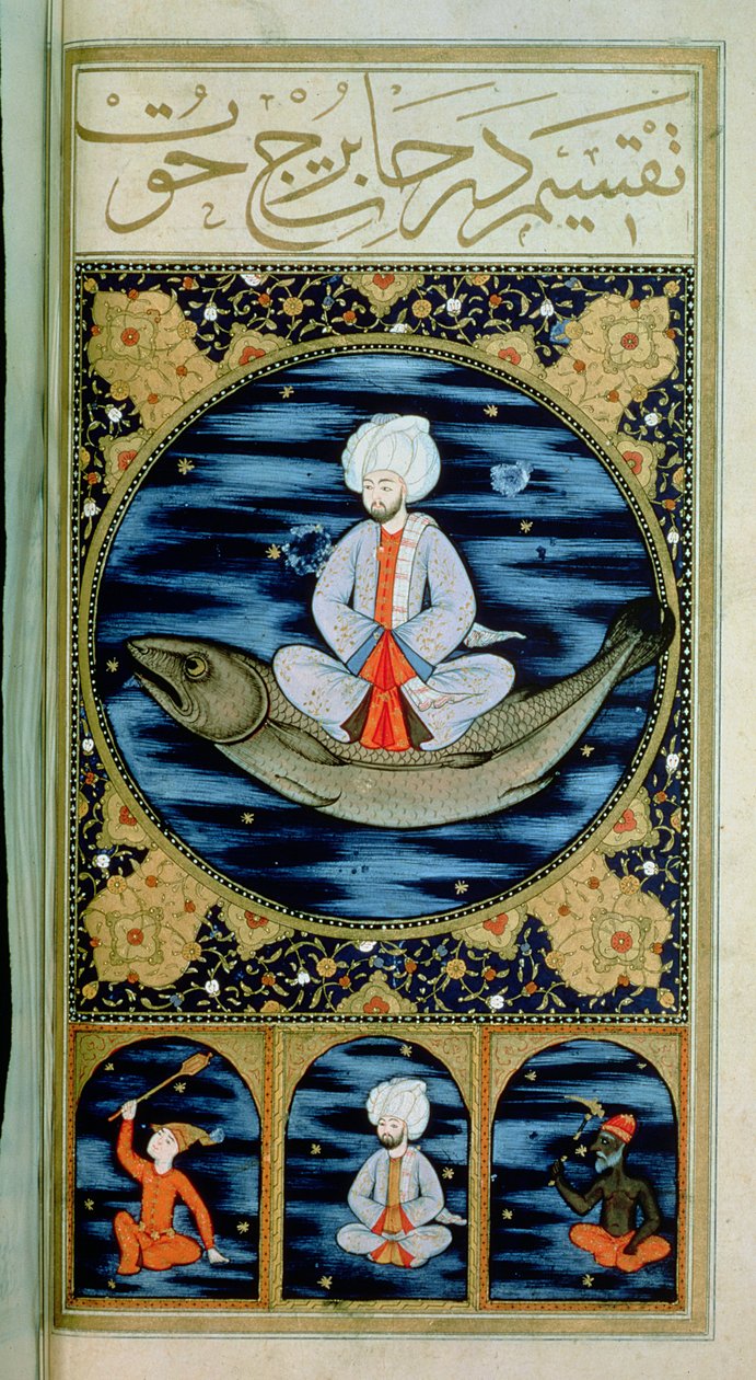 SUF.TURE 242 f.30v मीन द्वारा ओटोमन स्कूल