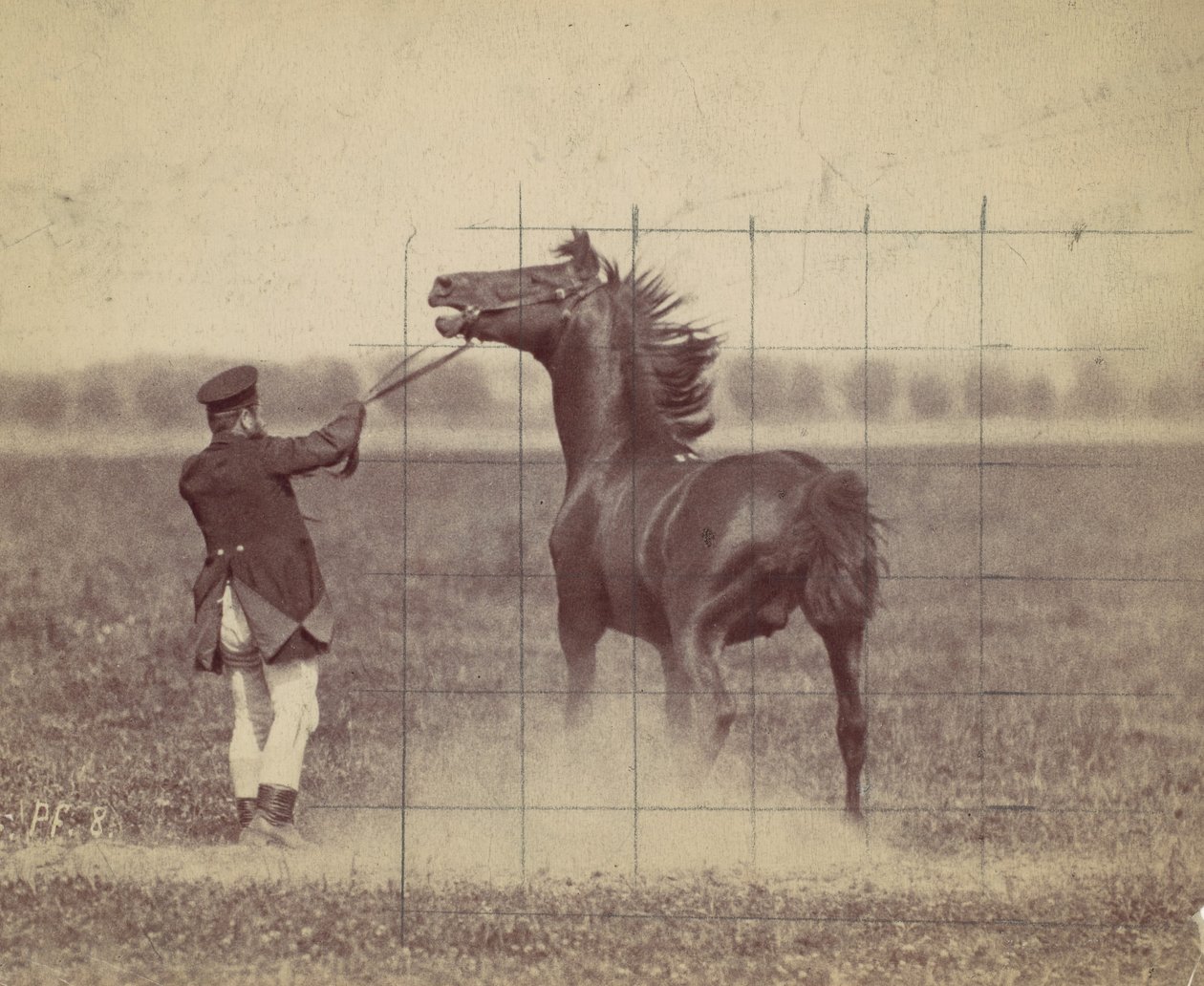 घोड़ा, 1884. द्वारा ओटोमर अंसचुत्ज़ी