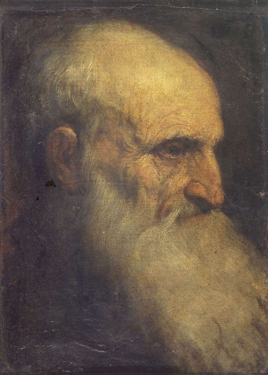 एक आदमी का सिर (सामने), c.1588-90 (कैनवासबोर्ड पर तेल) द्वारा पाल्मा इल गियोवन