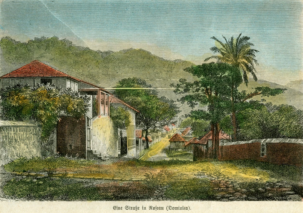 रोसेउ, डोमिनिका में एक सड़क, c1880। द्वारा गड़बड़