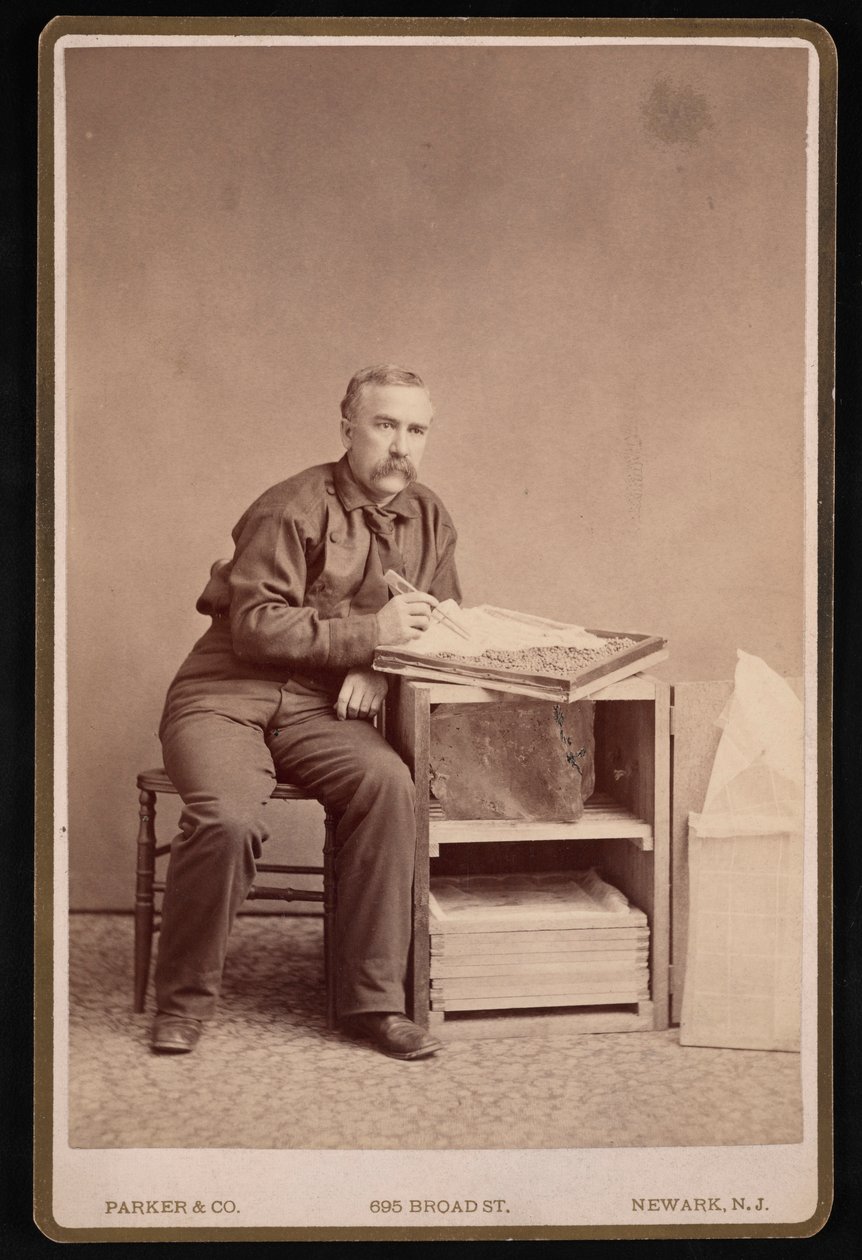 फ्रेड माथेर का पोर्ट्रेट 1833-1900, 1887 से पहले। द्वारा पार्कर एंड कंपनी