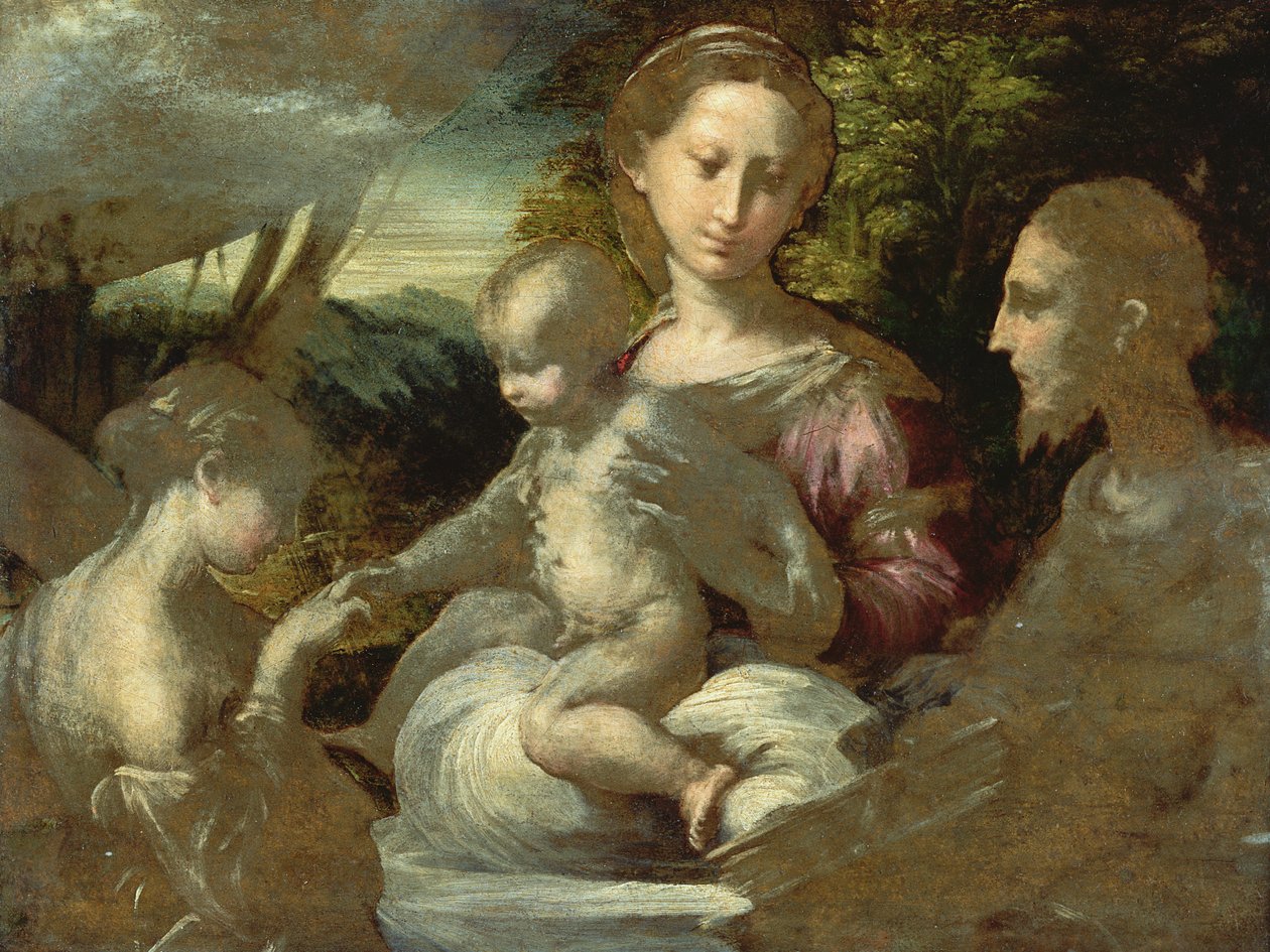 सेंट कैथरीन के रहस्यवादी विवाह के लिए अध्ययन, c.1527 द्वारा Parmigianino