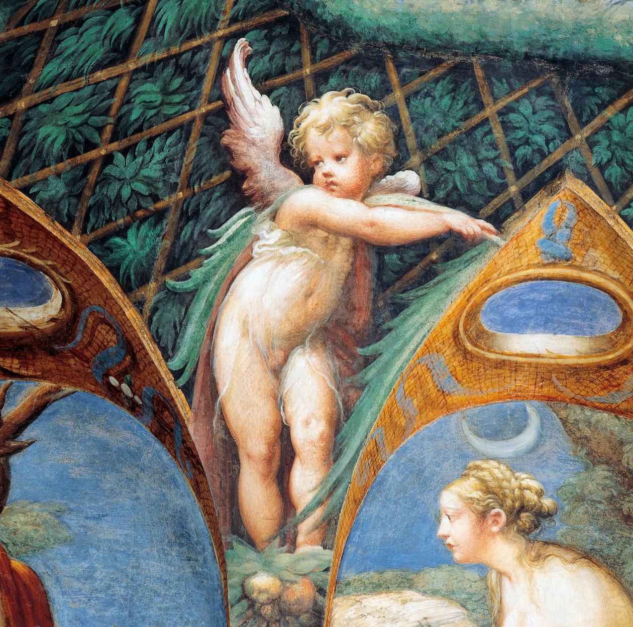 करूब और डायना का चेहरा, लगभग डायना और एक्टन के मिथक से द्वारा Parmigianino