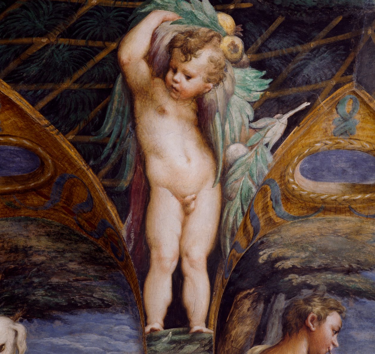 करूब, डायना और एक्टन के मिथक से विस्तार, लगभग द्वारा Parmigianino