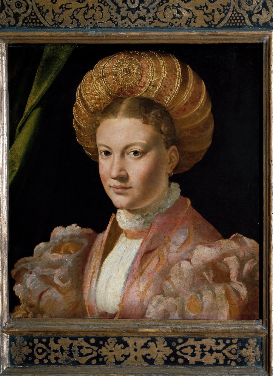 एक युवा महिला काउंटेस गोज़ादिनी का पोर्ट्रेट। (चित्र द्वारा Parmigianino