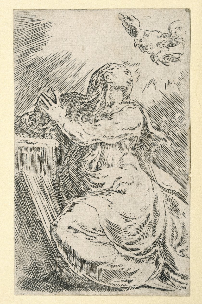  द्वारा Parmigianino