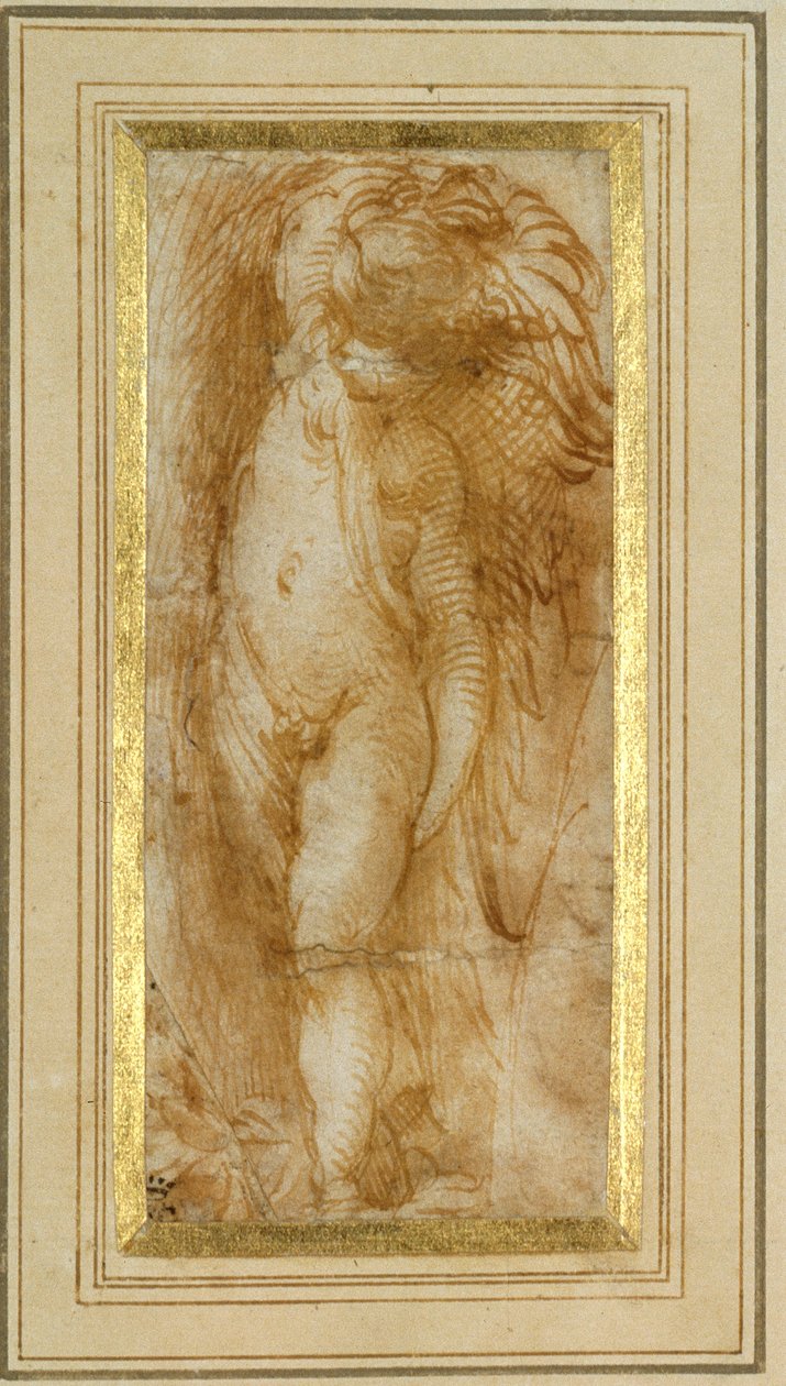 एक पुटो बाईं ओर मुड़ा (कागज पर कलम और भूरी स्याही) द्वारा Parmigianino