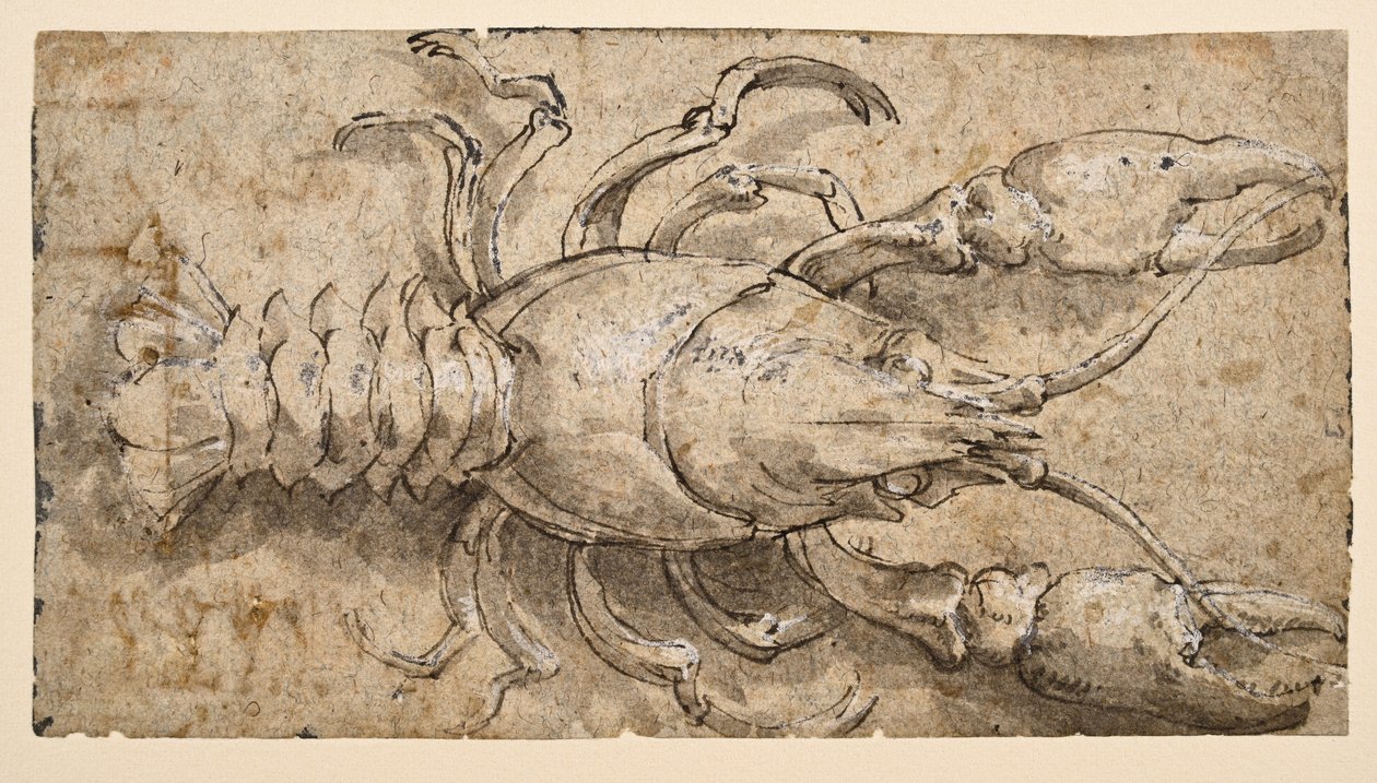  द्वारा Parmigianino
