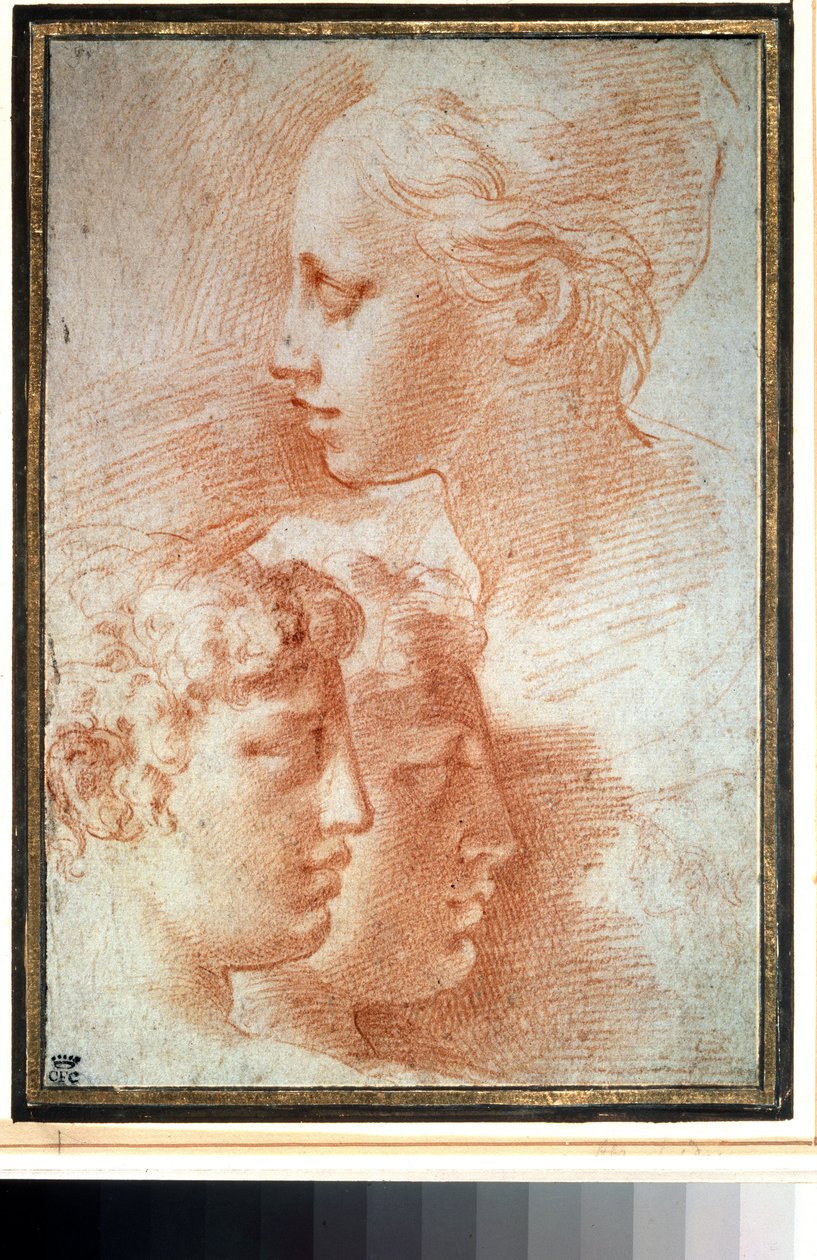  द्वारा Parmigianino