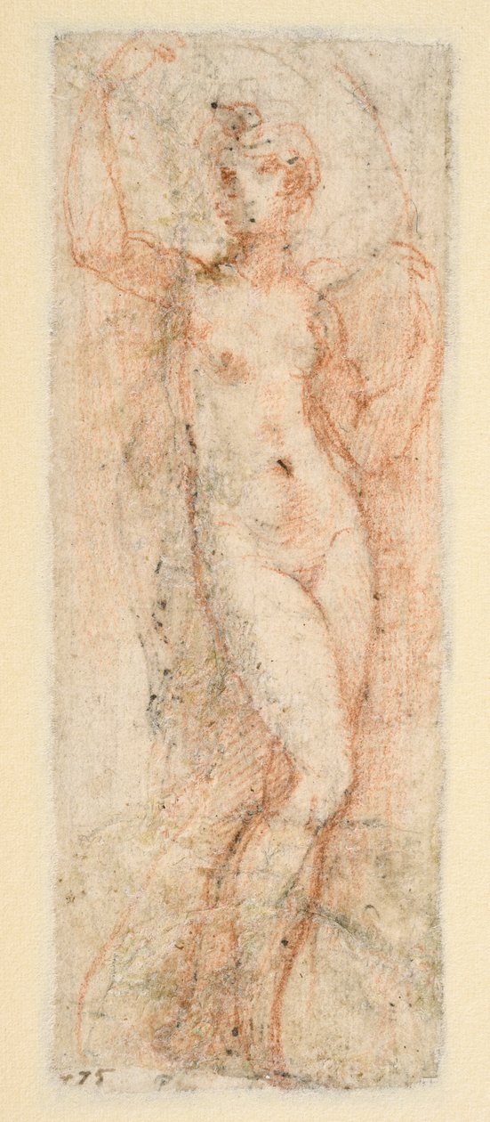  द्वारा Parmigianino