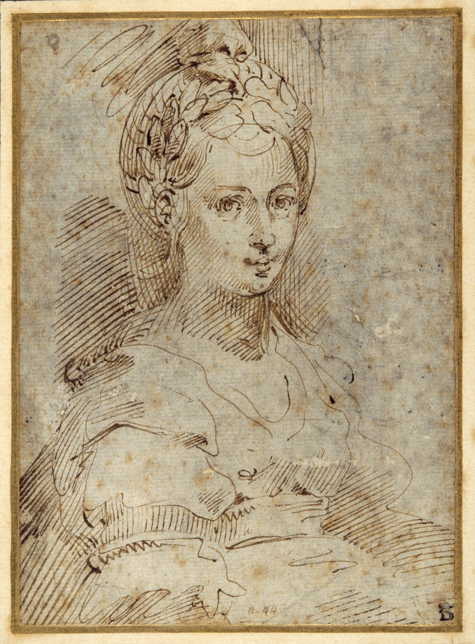 एक बैठी हुई महिला की आधी लंबाई (कागज पर कलम और स्याही) द्वारा Parmigianino