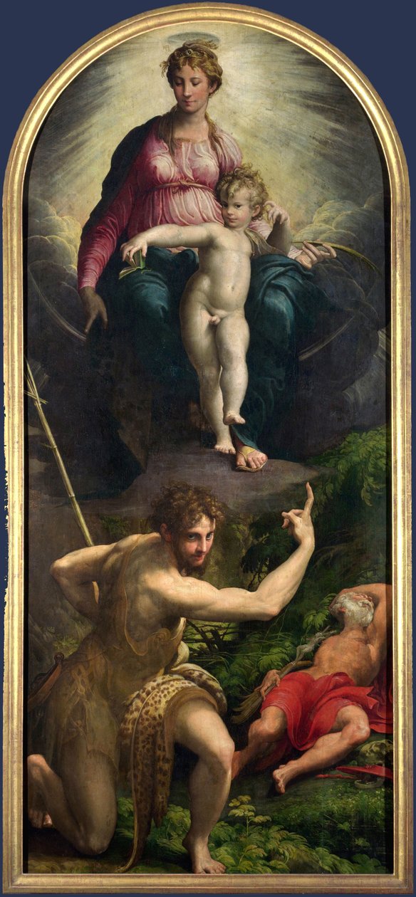 मैडोना और बाल सेंट जॉन और सेंट जेरोम के साथ द्वारा Parmigianino