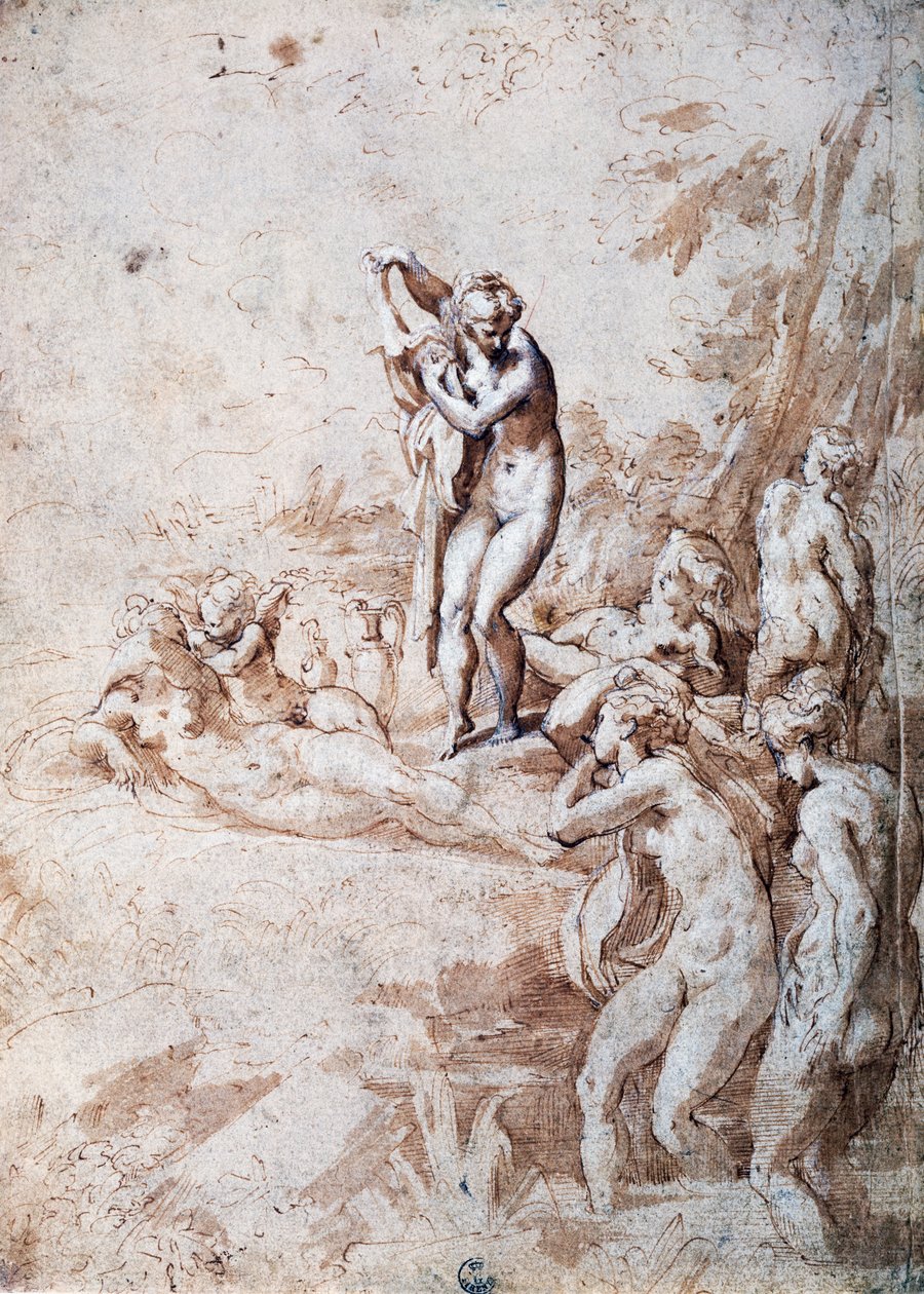 अप्सराओं का स्नान (कलम और पतला स्याही, सफेद सीसा) द्वारा Parmigianino