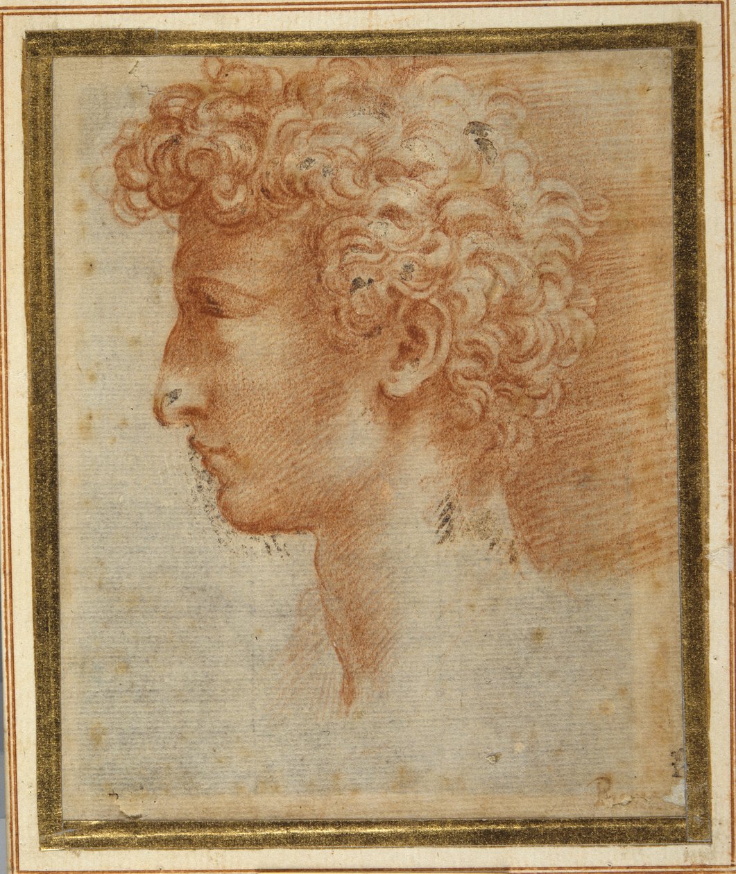 एक युवक की प्रोफाइल (सफेद कागज पर लाल चाक) द्वारा Parmigianino