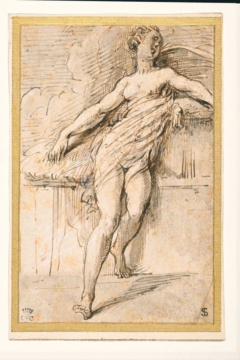  द्वारा Parmigianino
