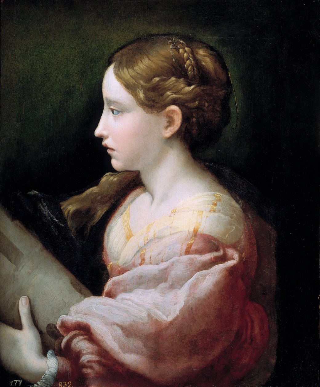  द्वारा Parmigianino