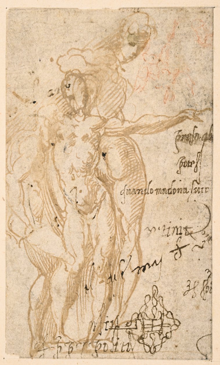  द्वारा Parmigianino