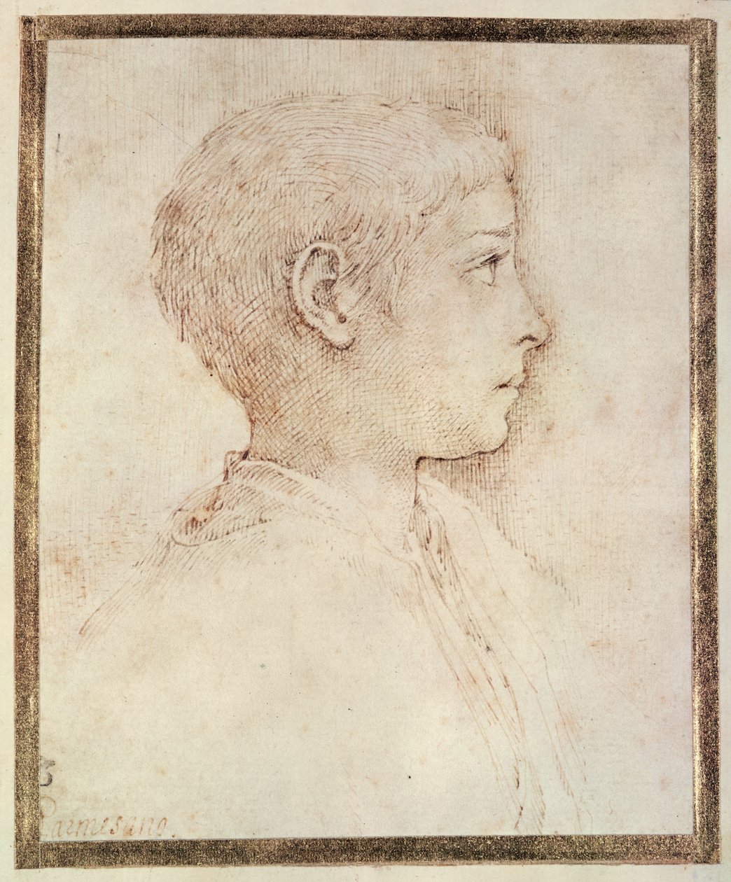 एक लड़के का सिर द्वारा Parmigianino