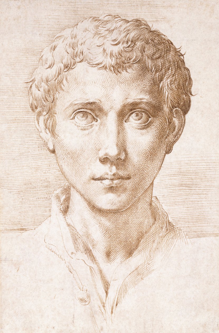 एक जवान आदमी की तलाश में, द्वारा Parmigianino