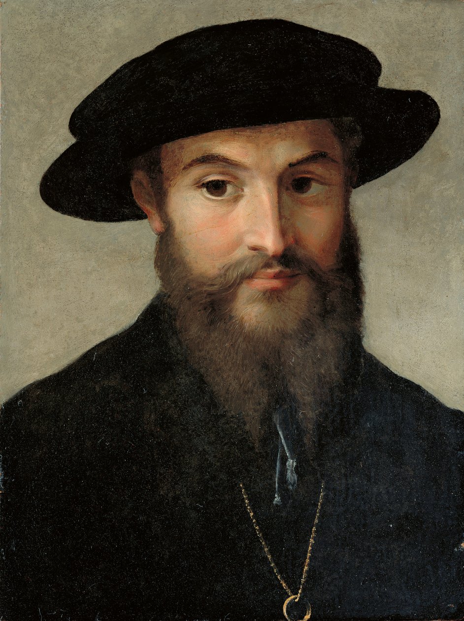 एक दाढ़ी वाले आदमी का चित्रण द्वारा Parmigianino