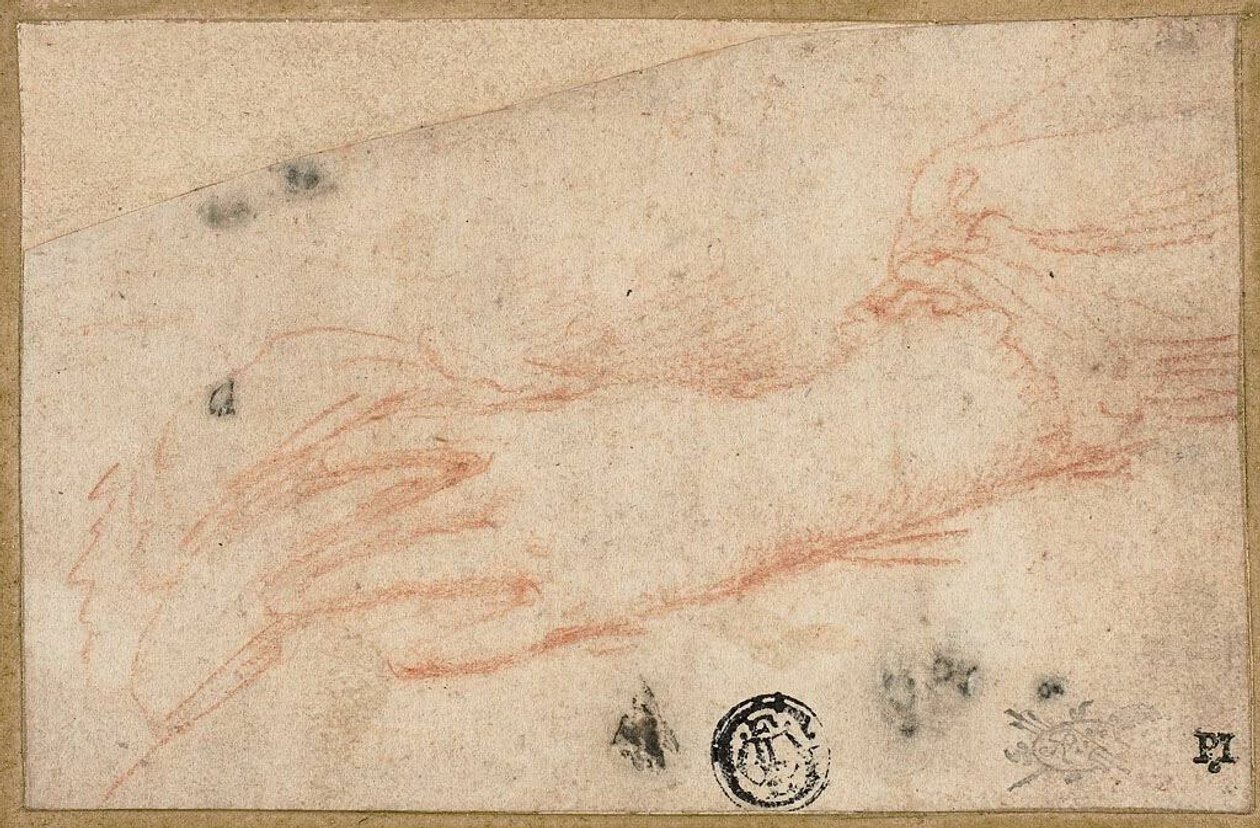  द्वारा Parmigianino