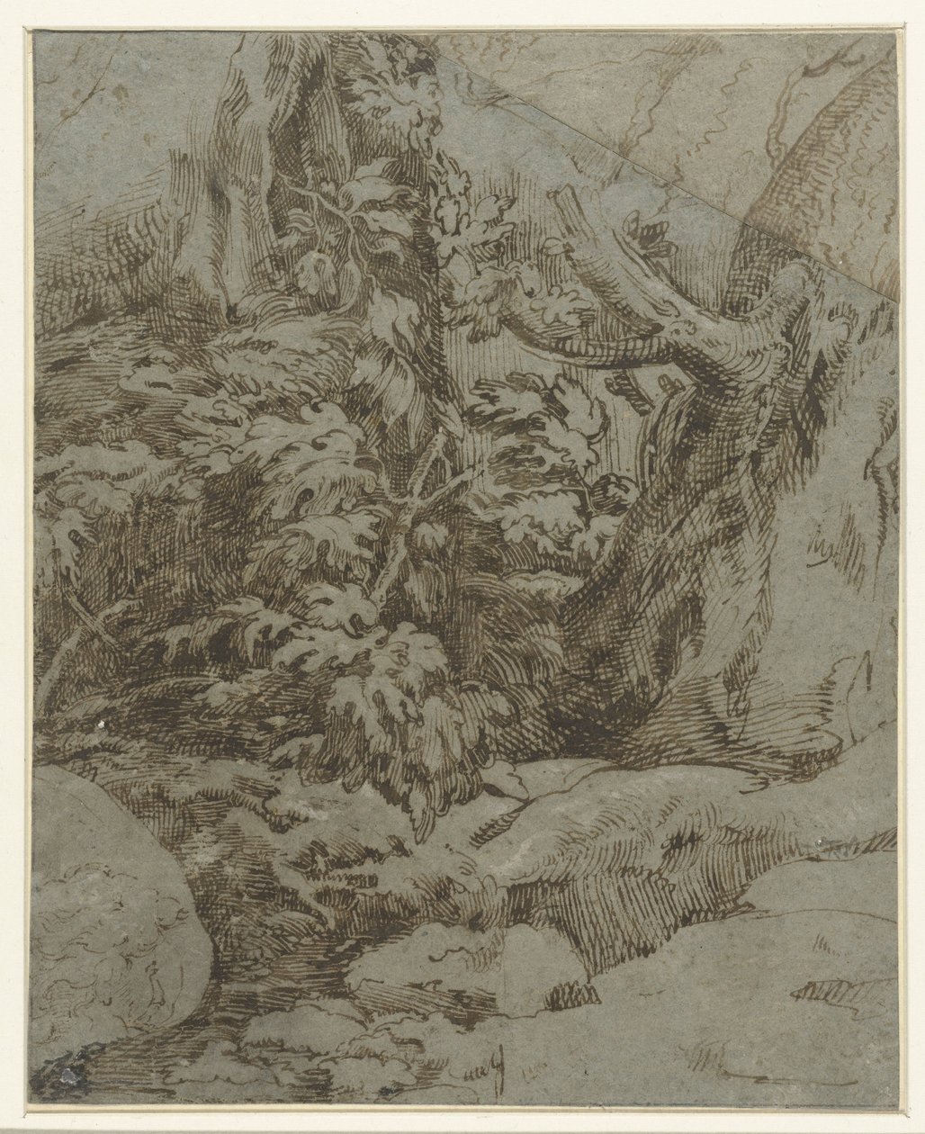  द्वारा Parmigianino