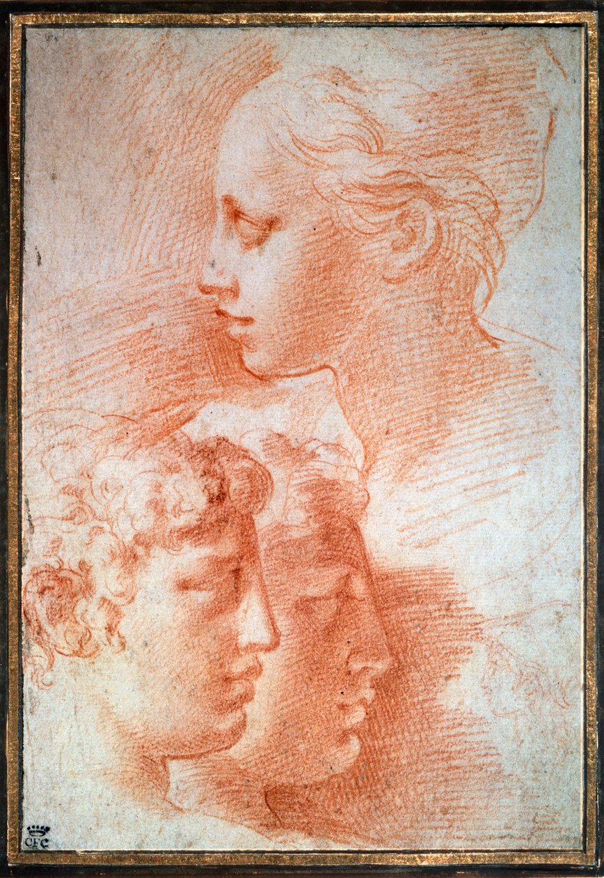 सिर का अध्ययन, c1527 द्वारा Parmigianino