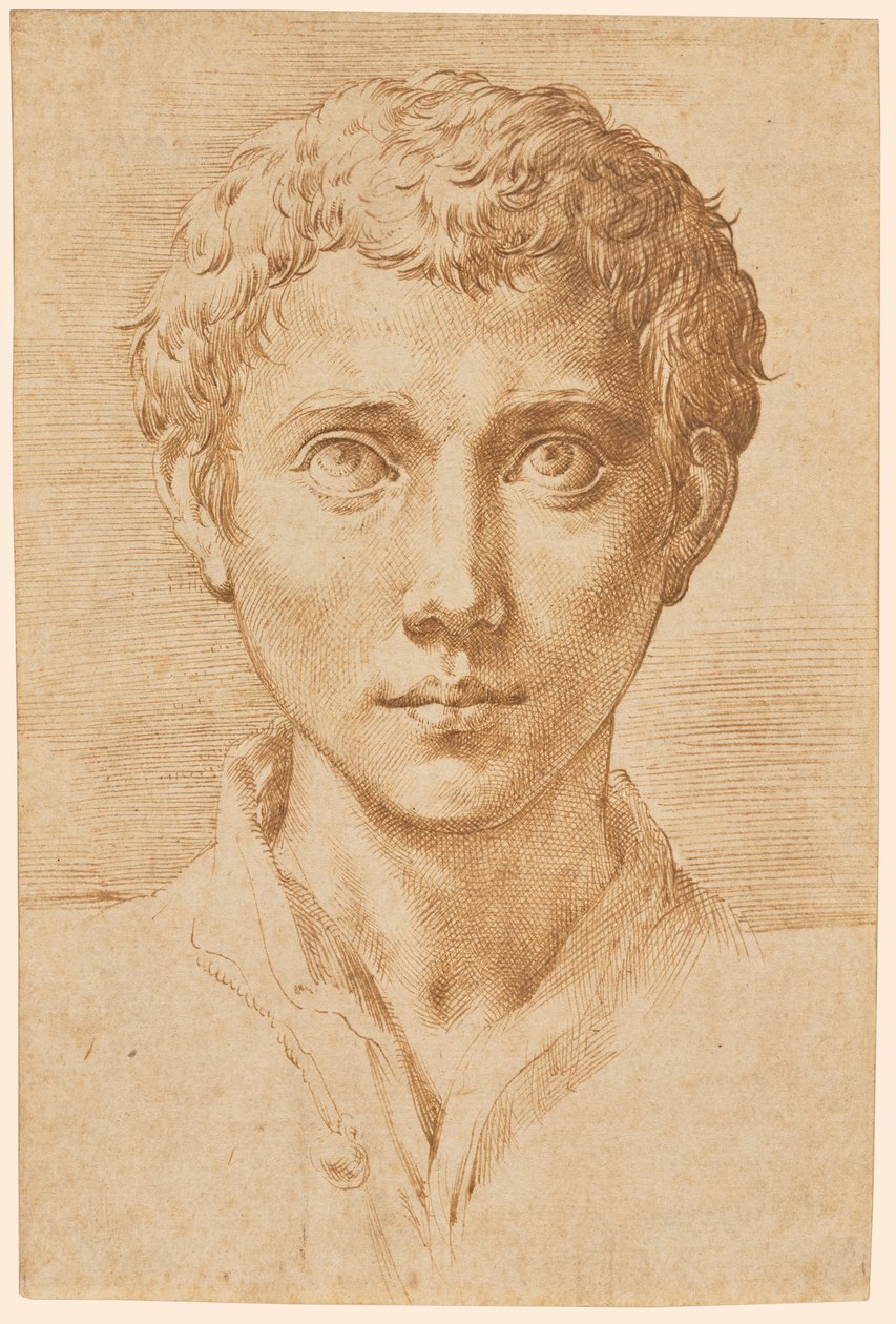  द्वारा Parmigianino