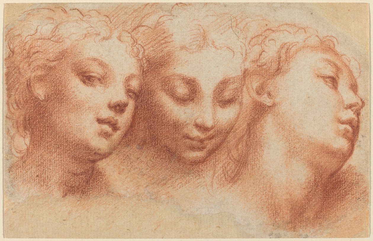 तीन स्त्रैण मुखिया द्वारा Parmigianino