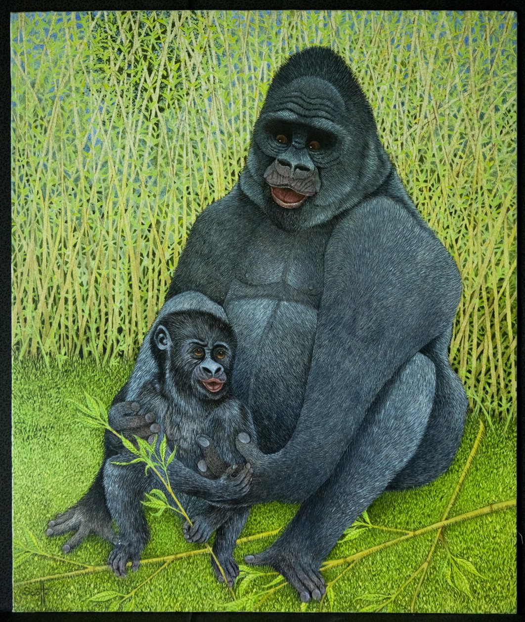  द्वारा पैट स्कॉट